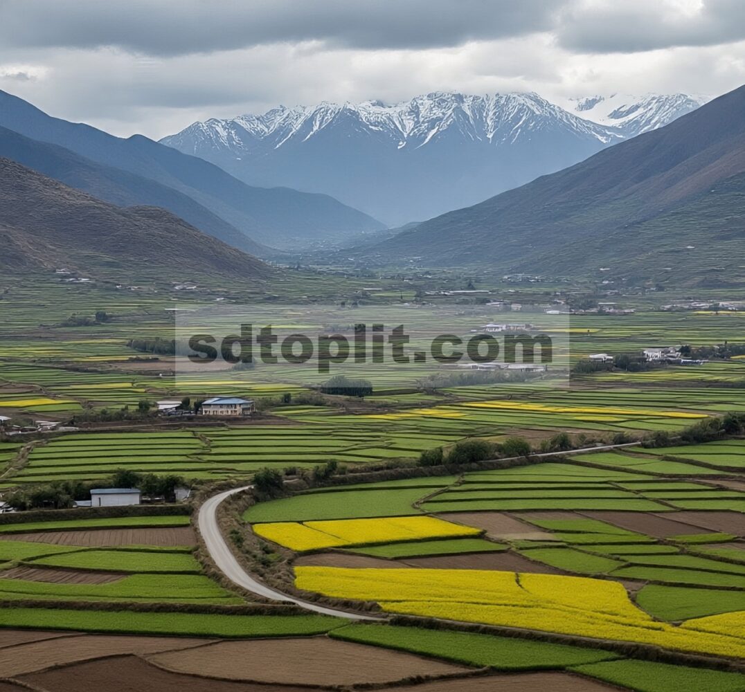 Karakteristik Spasial Kualitas Lahan Budidaya, Faktor Pendorong dan Kebijakan Peningkatan di Dataran Tinggi Tibet: Studi Kasus di Kabupaten Qushui, Tibet, Tiongkok