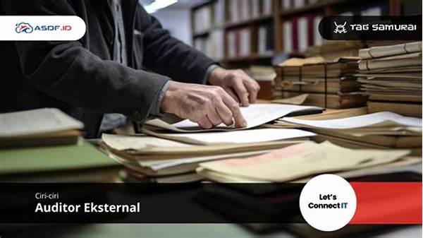 Audit Eksternal