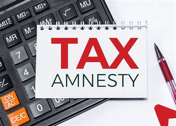 Tax Audittax Amnesty
