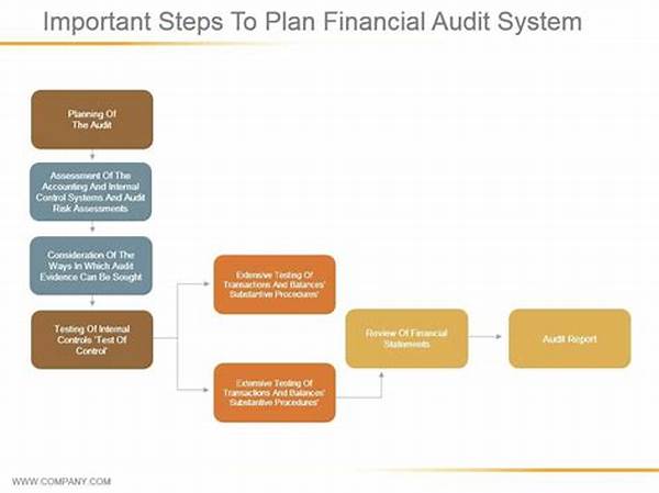 Financial Audit System