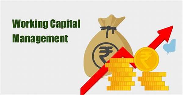 Business Capital Management
