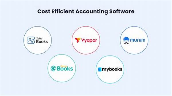 Efficient Accounting Solution