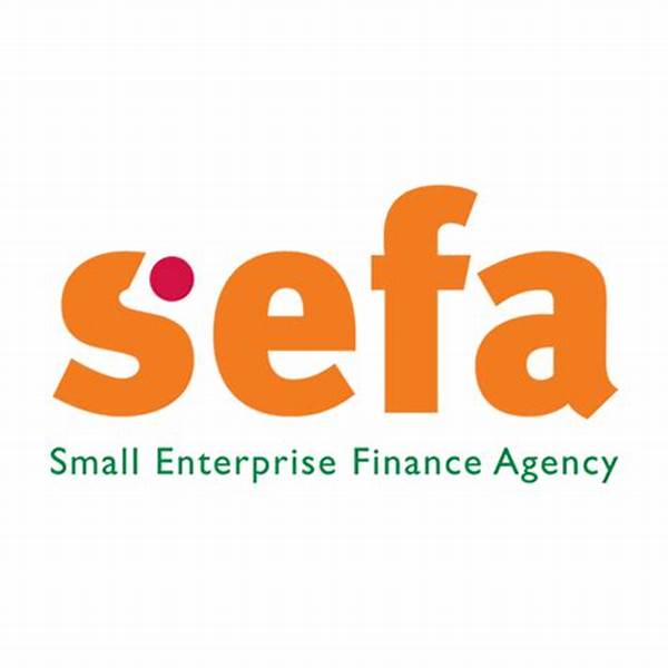 Small Enterprise Finance
