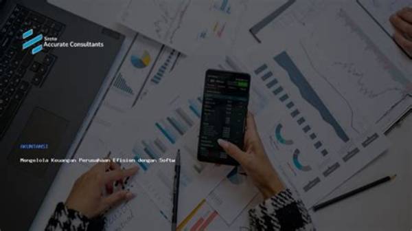 Software Keuangan Perusahaan,
