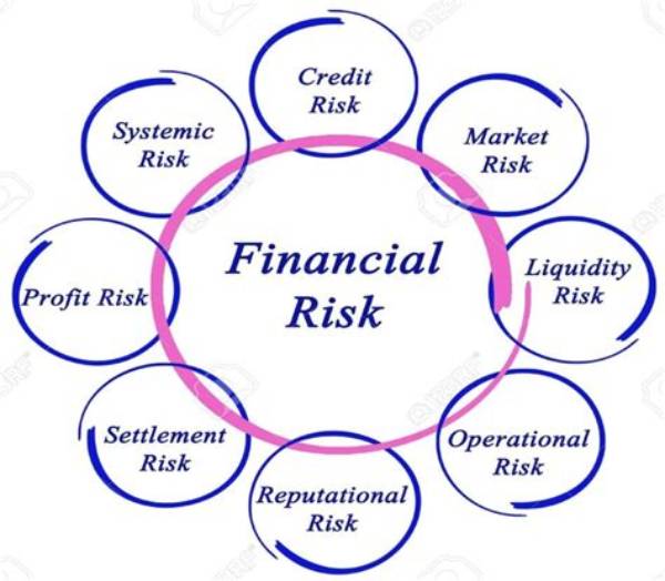 Financial Risk Management